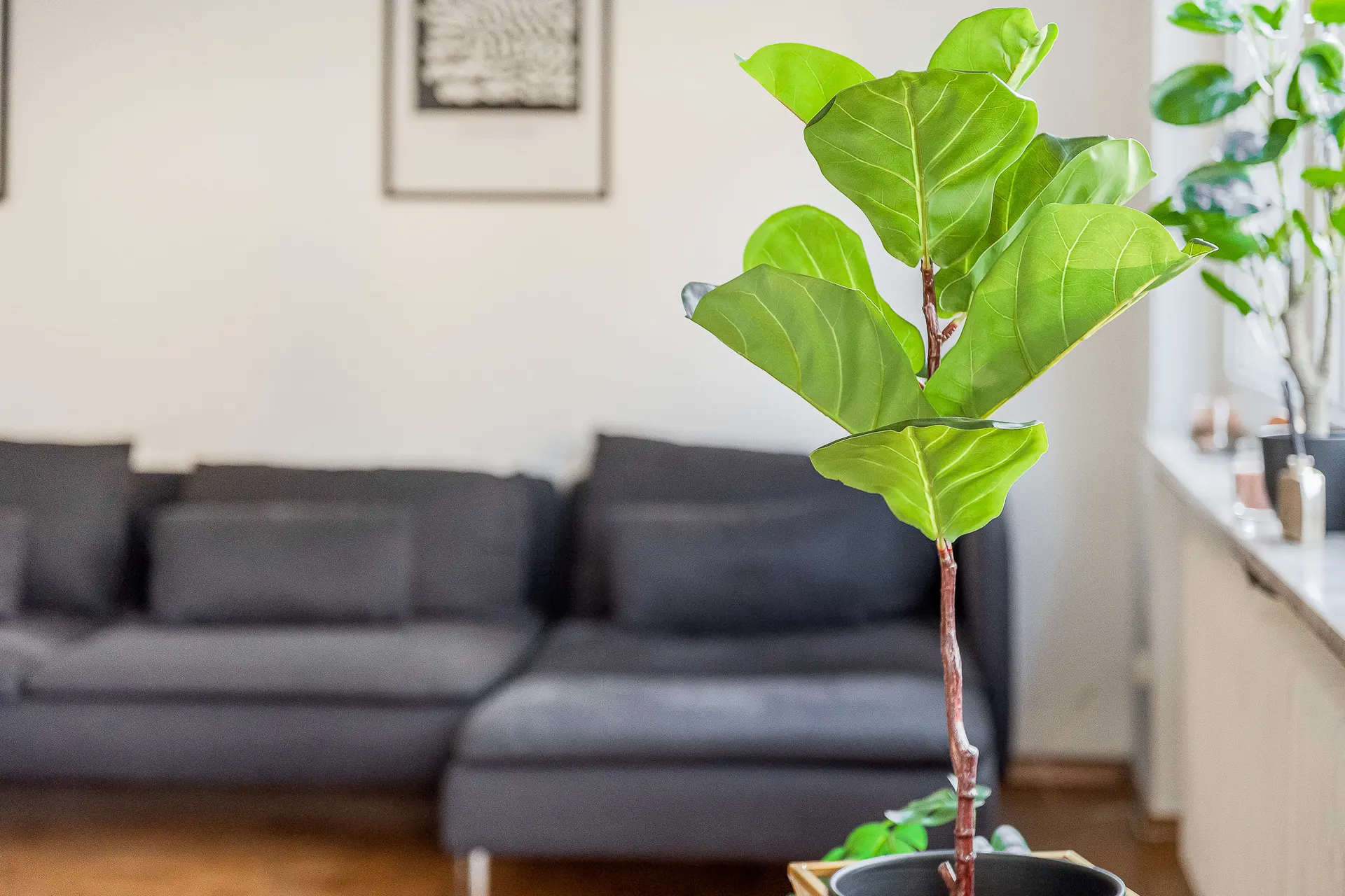 Charmante 3-Zimmer-Wohnung in Karlsruhe-Waldstadt – Perfekt für Ihr neues Zuhause! – Bild 1 von 35