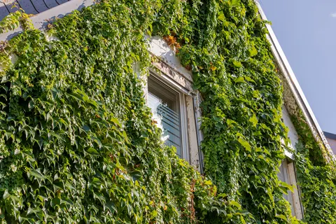 Haus in Karlsruhe – Bild 41 von 44